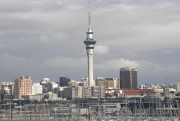 auckland-from-the-bridge2.jpg